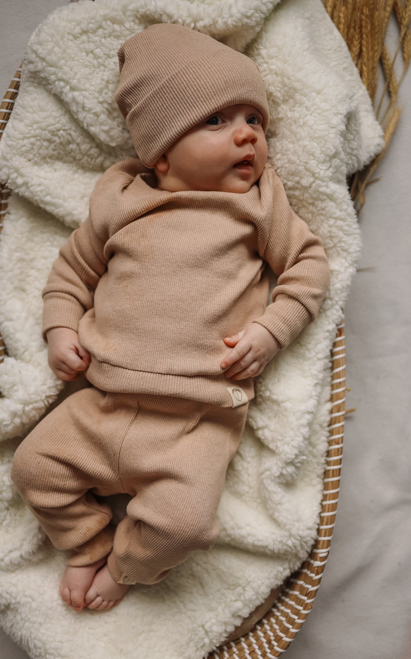 Baby cotton top and pants set with accessory | Light brown | 3 piece